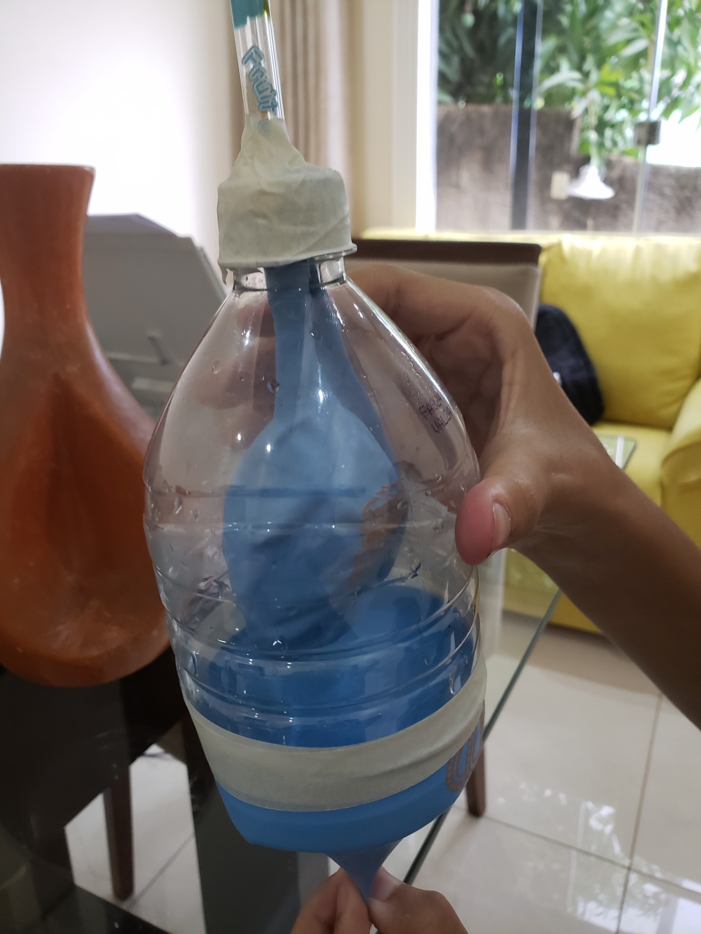 Foto: Sofia Gonçalves, 602